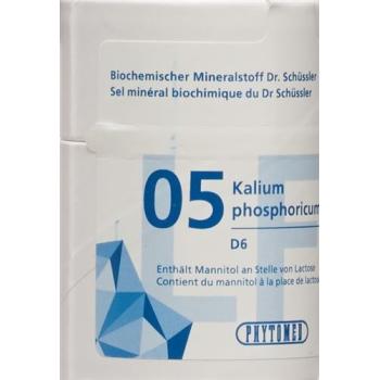 PHYTOMED SCH&Uuml;SSLER Nr5 Tabl D 6 lactose-free 2000 pcs