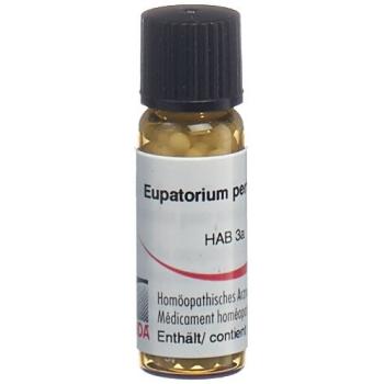 Omida Euphrasia Glob C 30 2g