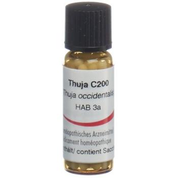 Omida Thuja Glob C 200 2 g