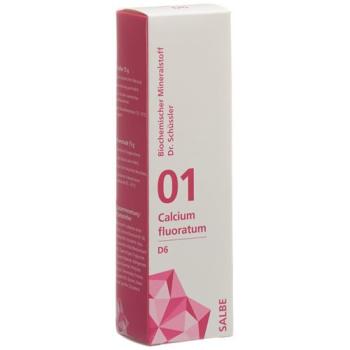 PHYTOMED SCH&Uuml;SSLER Nr1 Calcium Fluoratum Ointment D 6 75 g
