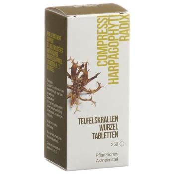 Dixa Teufelskrallenwurzel 250 tablets