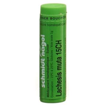 SN Lachesis muta Glob CH 15 1g