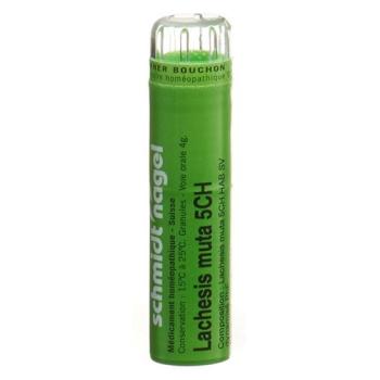 SN Lachesis muta Gran CH 5 4g
