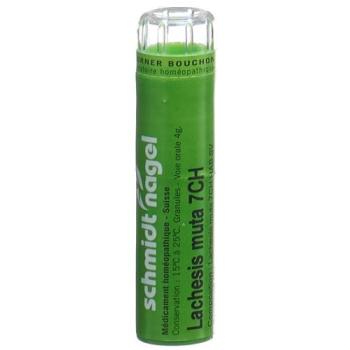 SN Lachesis muta Gran CH 7 4g