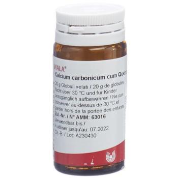Wala Calcium carbonicum cum Quercu Glob D 6 20 g