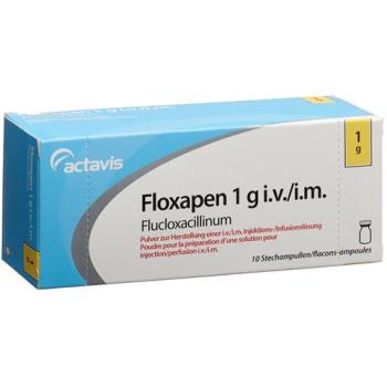 Floxapen dry sub 1 g permeate 10 pcs
