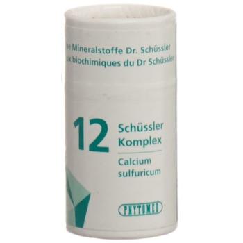 PHYTOMED SCH&Uuml;SSLER Complex Nr12 Tabl Ds 300 pcs