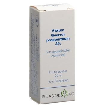 Iscador Viscum Quercus preparation 3 % aqueous dilution 20 ml