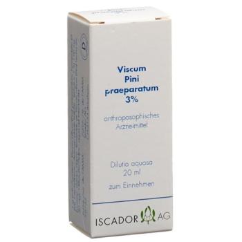 Iscador Viscum Pini preparation 3% aqueous dilution 20 ml