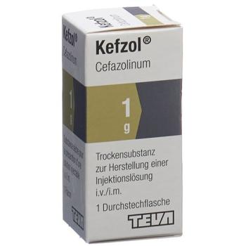 Kefzol dry sub 1 g perf