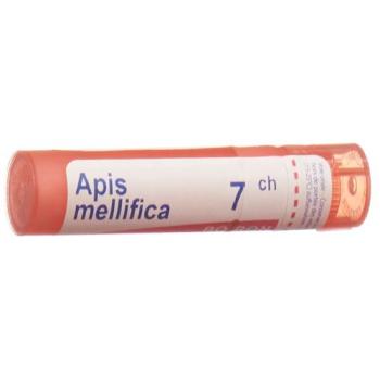 Boiron Apis mellifica Gran C 7 4g