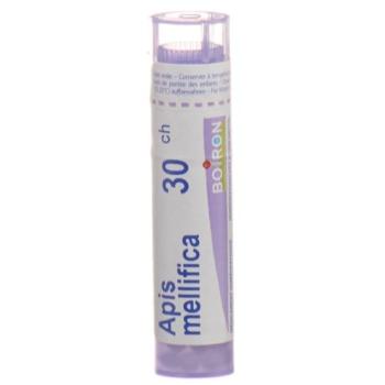 Boiron Apis mellifica Gran C 30 4g
