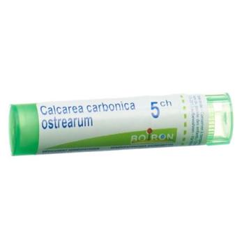 Boiron Calcarea carbonica ostrearum Gran C 5 4 g