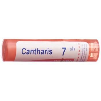 Boiron Cantharis Gran C7 4g