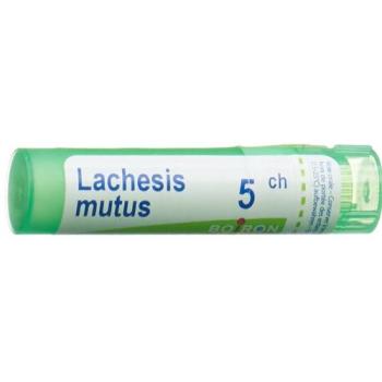 Boiron Lachesis mutus Gran C5 4g