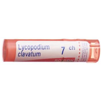 Boiron Lycopodium clavatum Gran C 7 4g