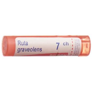 Boiron Ruta graveolens Gran C 7 4g