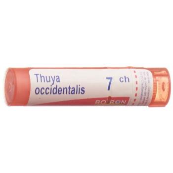 Boiron Thuya occidentalis Gran C 7 4g