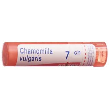 Boiron Chamomilla vulgaris Gran C 7 4g