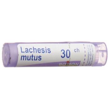 Boiron Lachesis mutus Gran C 30 4g