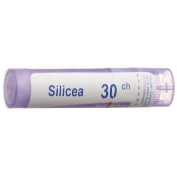 Boiron Silicea Gran C 30 4g