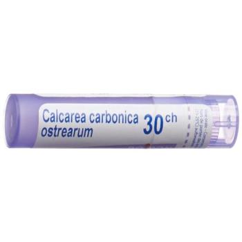 Boiron Calcarea carbonica ostrearum Gran C 30 4 g