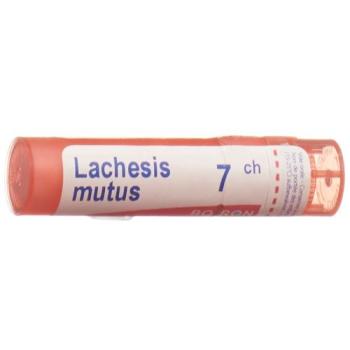 Boiron Lachesis mutus Gran C 7 4g