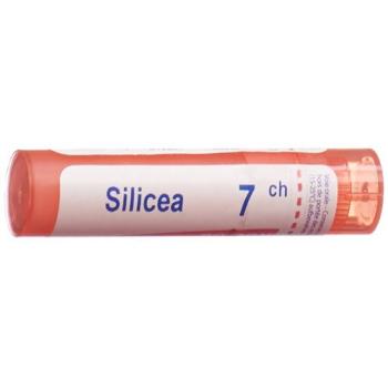 Boiron Silicea Gran C 7 4g