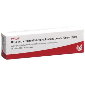 Wala Rosae aetherolum/Silicea colloidalis ointment comp. Tb 30 g