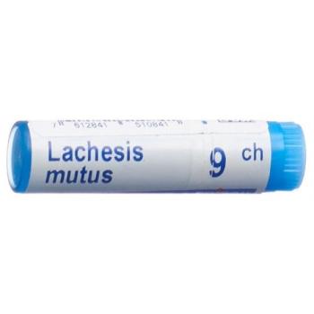 Boiron Lachesis mutus Glob 9C 1 dose