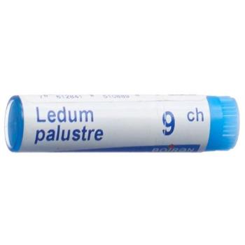 Boiron Ledum palustre Glob 9C 1 dose