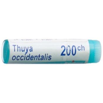 Boiron Thuya occidentalis Glob C 200 1 dose