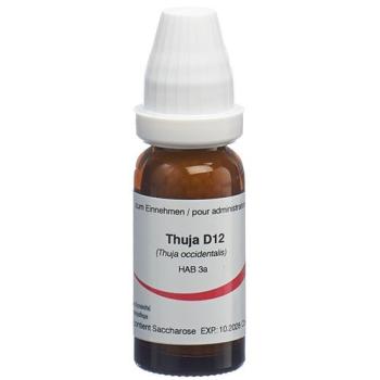Omida Thuja Glob D 12 14 g