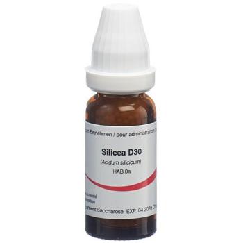 Omida Silicea Glob D 30 14 g