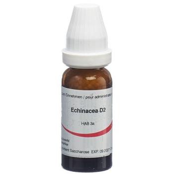Omida Echinacea angustifolia Glob D 2 14 g