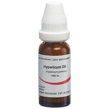 Omida Hypericum Glob D 6 14 g