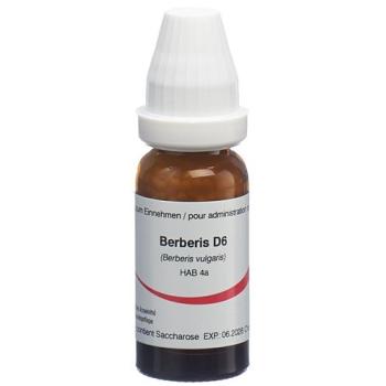 Omida Berberis Glob D 6 14g