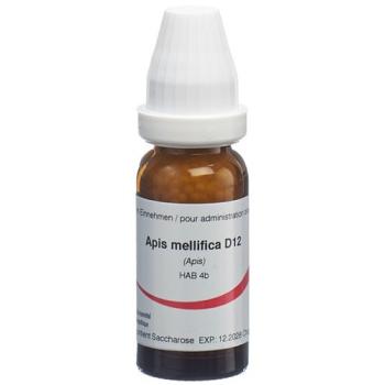 Omida Apis mellifica Glob D 12 14 g