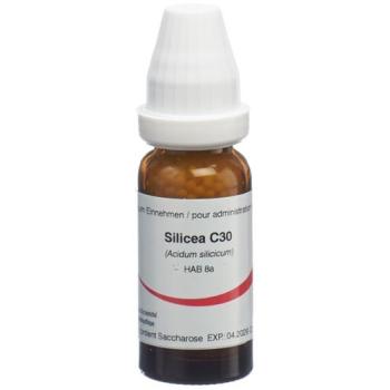 Omida Silicea Glob C 30 14g