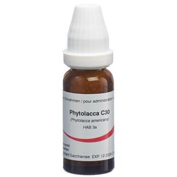 Omida Phytolacca Glob C 30 14g