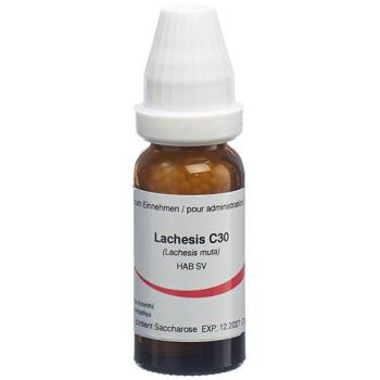 Omida Lachesis Glob C 30 14g