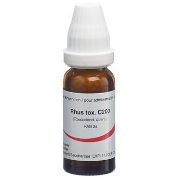Omida Rhus toxicodendron Glob C 200 14 g
