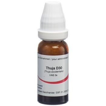 Omida Thuja Glob D 30 14 g