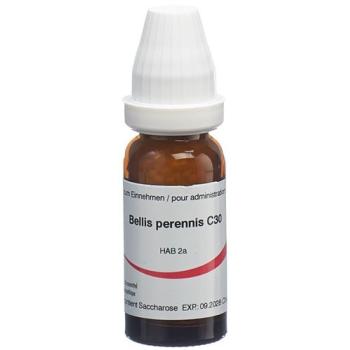 Omida Bellis perennis Glob C 30 14 g