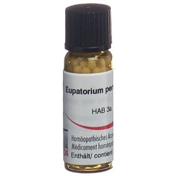 Omida Eupatorium perfoliatum Glob C 30 14 g