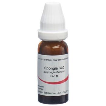 Omida Spongia Glob C 30 14g