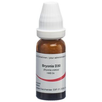 Omida Bryonia Glob D 30 14g