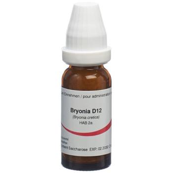 Omida Bryonia Glob D 12 14g