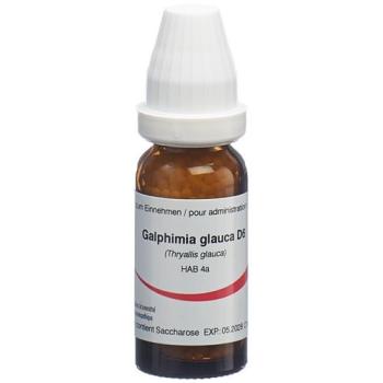 Omida Galphimia glauca Glob D 6 2 g