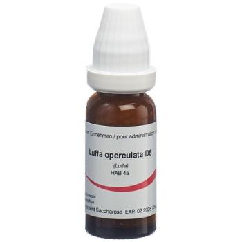 Omida Luffa operculata Glob D 6 2 g